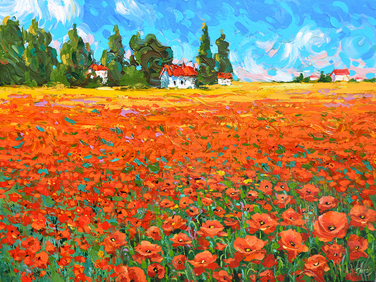 Field with red poppies