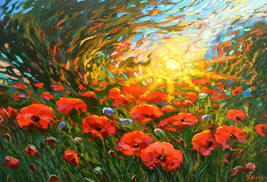 Sunny poppies