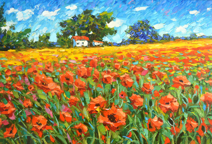 field of poppies